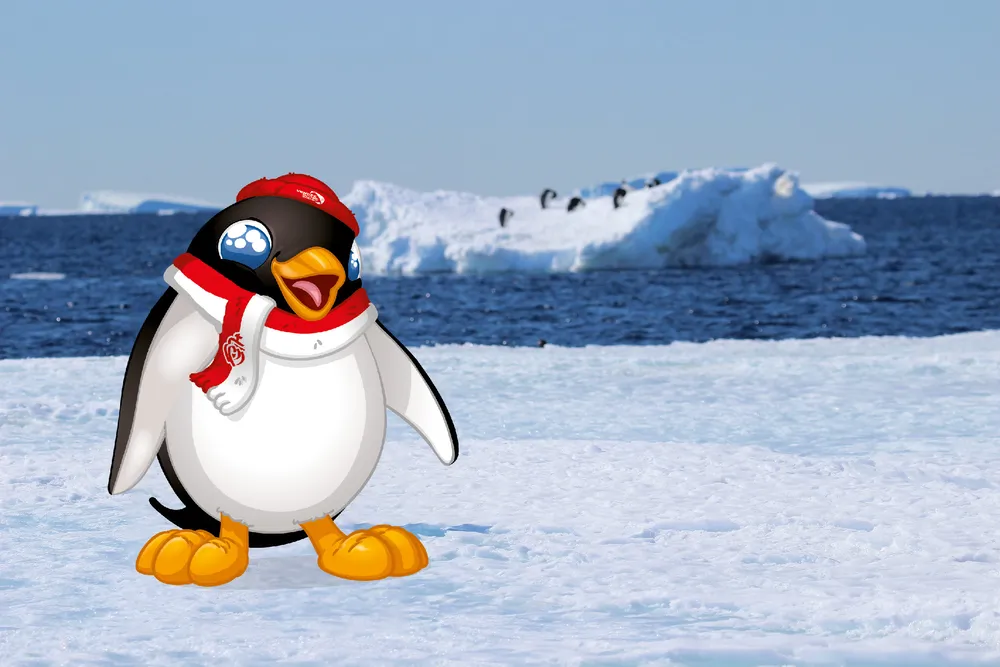 Adélie the penguin on the antarctica ice floe 