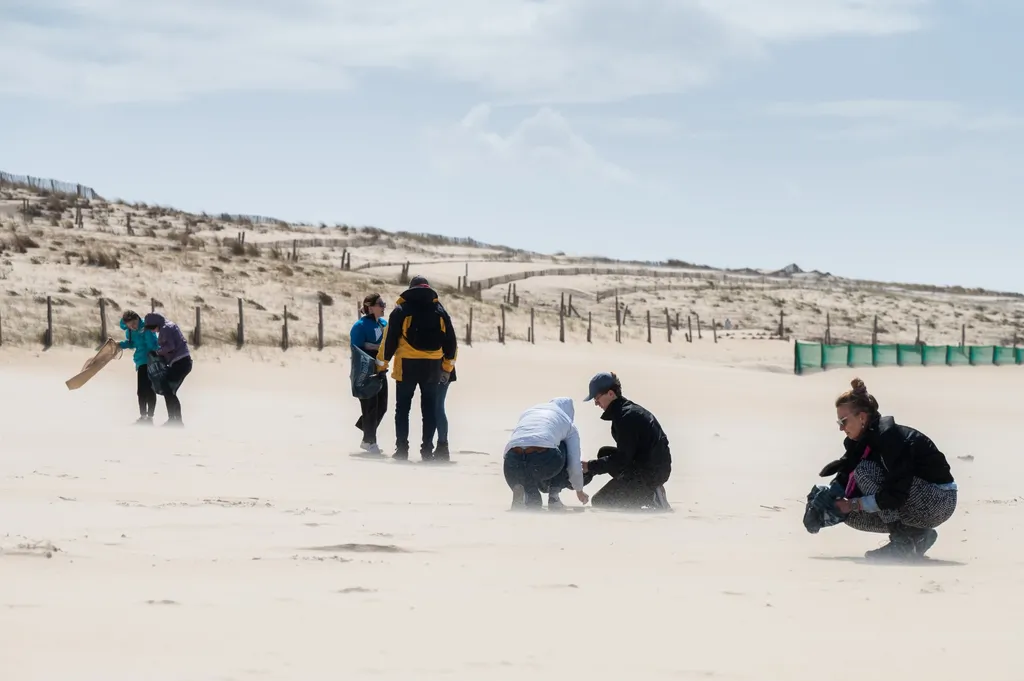 Nettoyage de plage