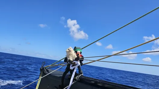 COURSE, 25 NOVEMBRE 2024 : Photo envoyée depuis le bateau Tout Commence en Finistère - Armor Lux lors de la course à la voile du Vendée Globe le 25 novembre 2024. (Photo du skipper Jean Le Cam) Virgile, Jean et Ushu