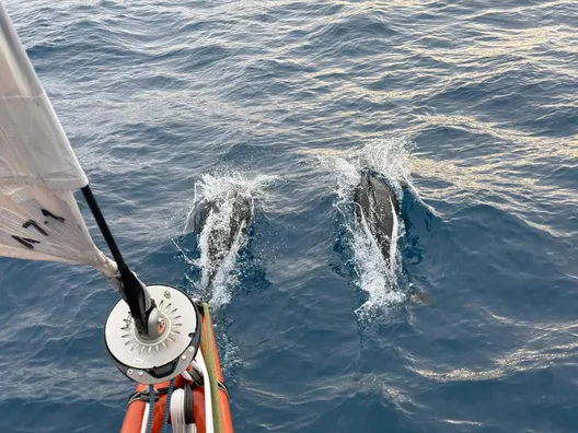 RACE, DECEMBER 14, 2024 : Photo sent from the boat Singchain Team Haikou during the Vendee Globe sailing race on December 14, 2024. (Photo by skipper Jingkun Xu)