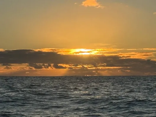 RACE, FEBRUARY 06, 2024 : Photo sent from the boat HUMAN Immobilier during the Vendee Globe sailing race on February 06, 2024. (Photo by skipper Antoine Cornic)