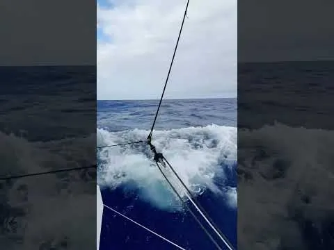 "Sailing with full mainsail" for Oliver Heer | Vendée Globe 2024