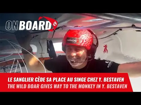 Le sanglier cède sa place au singe chez Yannick Bestaven | Vendée Globe 2024