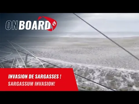 Invasion de sargasses pour Guirec Soudée | Vendée Globe 2024