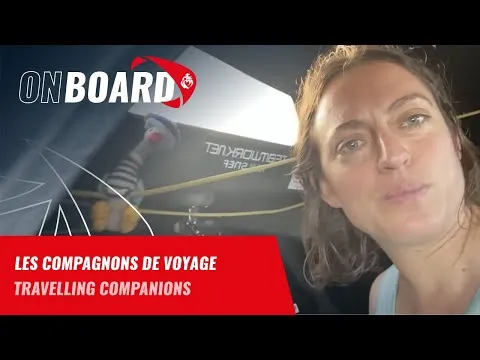 Justine Mettraux et ses compagnons de voyage | Vendée Globe 2024