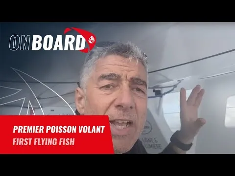 Manuel Cousin : Premier poisson volant | Vendée Globe 2024