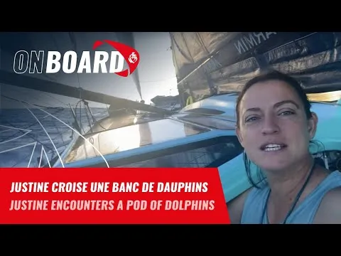 Justine Mettraux croise un banc de dauphins | Vendée Globe 2024