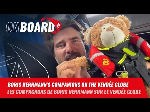 Boris Herrmann's companions on the Vendée Globe | Vendée Globe 2024