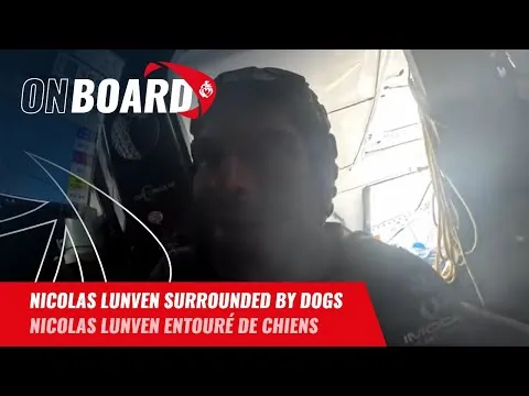 Nicolas Lunven surrounded by dogs | Vendée Globe 2024