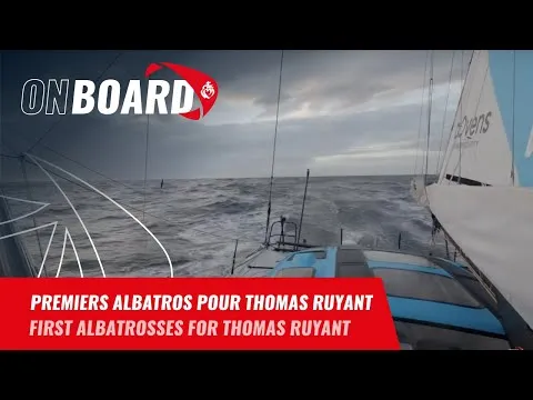 Premiers albatros pour Thomas Ruyant | Vendée Globe 2024