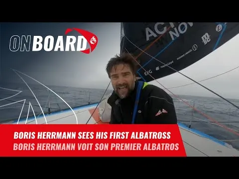 Boris Herrmann sees his first albatross | Vendée Globe 2024