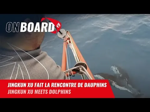 Jingkun Xu fait la rencontre de dauphins | Vendée Globe 2024