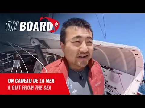 Un cadeau de la mer pour Jingkun Xu | Vendée Globe 2024