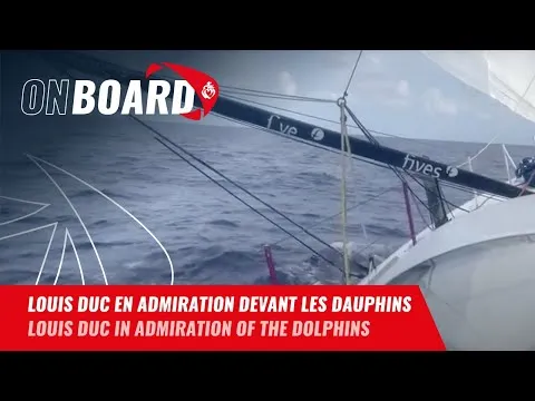 Louis Duc en admiration devant les dauphins | Vendée Globe 2024