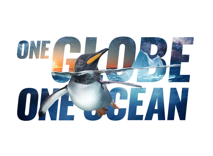 Text : One globe one ocean, with a texture of sea, and a pinguin